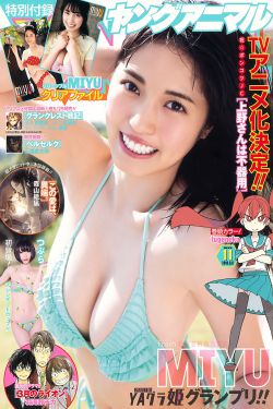 javalibrary最新