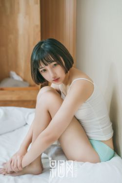 疯狂的兔子全集免费观看
