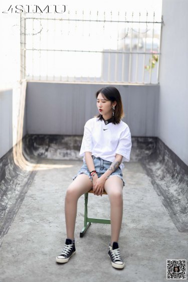 入侵者