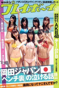 男男gay的视频